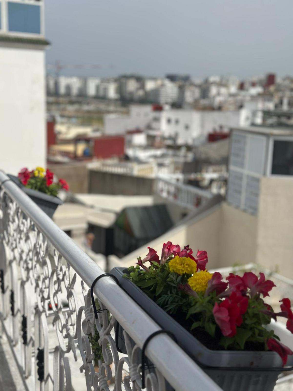 The Riad Hostel 丹吉尔 外观 照片